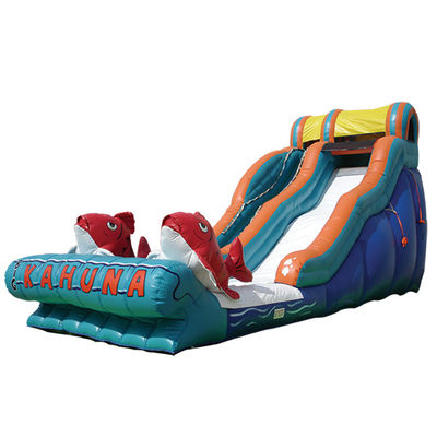 Commercial Occasions Inflatable Jumper Water Slide with Pool 2 Carps Slide