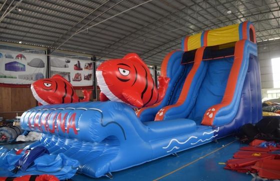 Commercial Occasions Inflatable Jumper Water Slide with Pool 2 Carps Slide