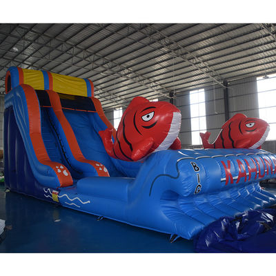 Commercial Occasions Inflatable Jumper Water Slide with Pool 2 Carps Slide