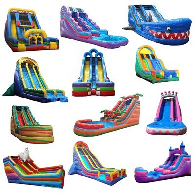 Bouncy Castle Water Slide Crocodile Creek Inflatable Water Pool and Slide Jumping Castle