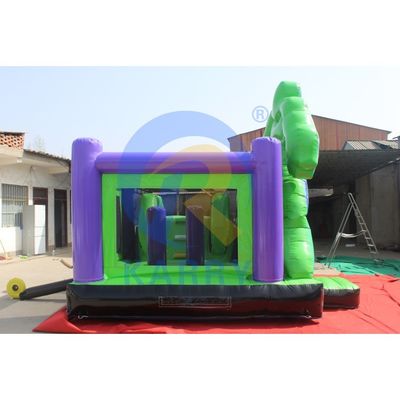 Party Rental Equipment Durable PVC Inflatable Bouncer with Slide and Customized Color