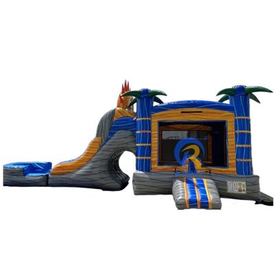 Amusement Custom Inflatable Bouncer Water Slide Jumping Castle with Slide and Pool