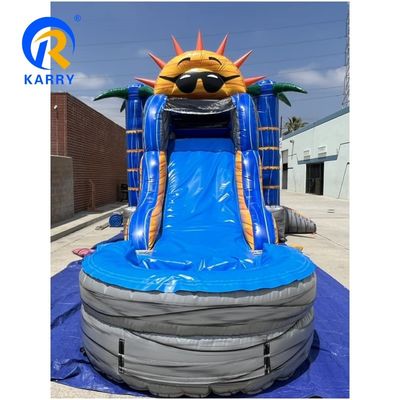 Amusement Custom Inflatable Bouncer Water Slide Jumping Castle with Slide and Pool