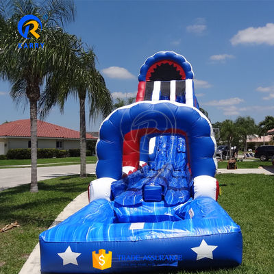 Commercial Inflatable Dry or Water Slide for Summer Water Park Kids Swimming Pool Fun