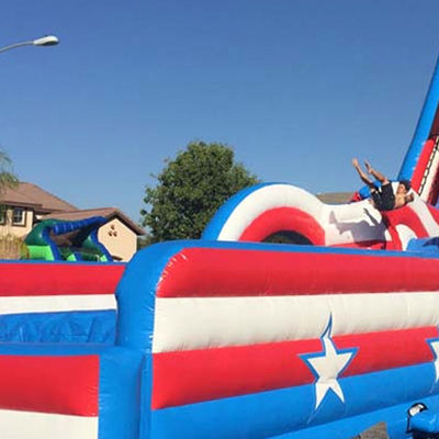 Commercial Inflatable Dry or Water Slide for Summer Water Park Kids Swimming Pool Fun