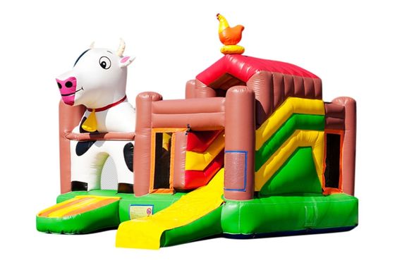 OEM/ODM Accepted Trend Customizable Bouncy Castle Slide Combo for Party Rental Business
