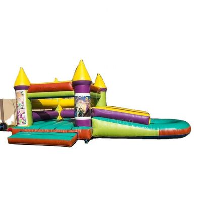 Logo/Website/Phone/Company Name Printing Inflatable Bounce House with Slide
