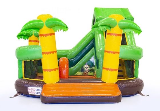 Logo/Website/Phone/Company Name Printing Inflatable Bounce House with Slide