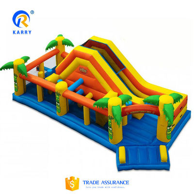 Max Capacity 100-500kg Commercial Long Slide with Pool Inflatable Water Slide Perfect