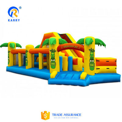 Max Capacity 100-500kg Commercial Long Slide with Pool Inflatable Water Slide Perfect