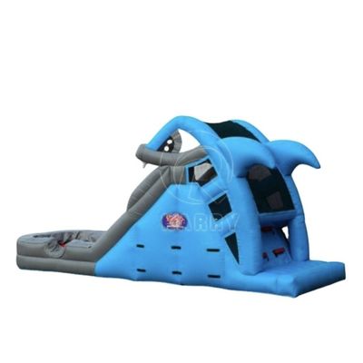 Customized Printing Inflatable Water Slide Max Capacity 100-500kg for Kids Playground