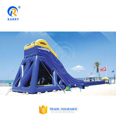 Customized Printing Inflatable Water Slide Max Capacity 100-500kg for Kids Playground