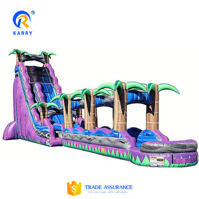 Customized Printing Inflatable Water Slide Max Capacity 100-500kg for Kids Playground