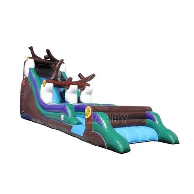 Transform Your Backyard into a Summer Paradise with this Inflatable Castle and Slide