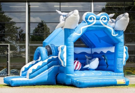 Manual Instruction Included Inflatable Bouncer Castle Slide Combo for Party Jumping