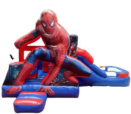 Digital Printing Inflatable Castle And Water Slide For Adult Party Rental With Blower