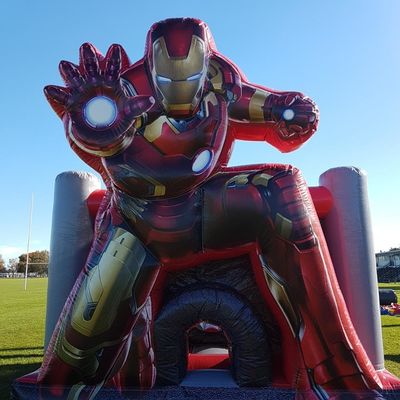 Digital Printing Inflatable Castle And Water Slide For Adult Party Rental With Blower