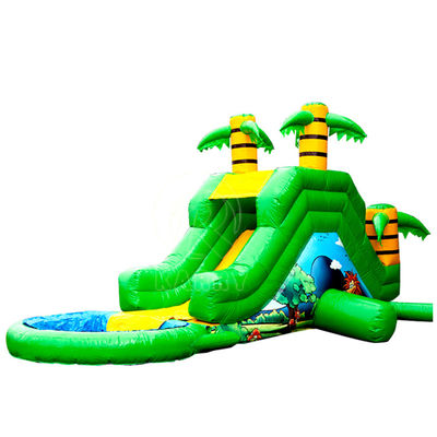 PVC Palm Tree Backyard Long Slide Inflatable Water Slide for 5-10 Passengers Party Fun