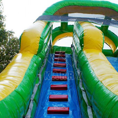 PVC Palm Tree Backyard Long Slide Inflatable Water Slide for 5-10 Passengers Party Fun
