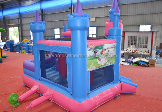 14 Years up Commercial Inflatable Frozen Bounce House with Slide Combo OEM Accepted