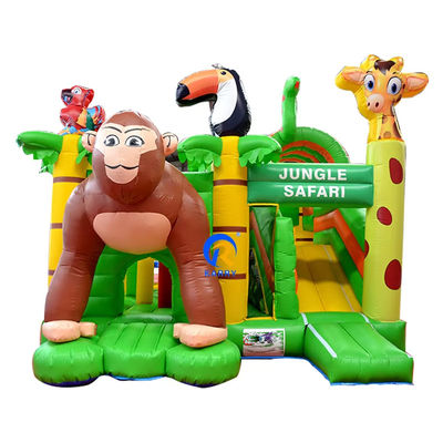 Customized Color Inflatable Castle Jumping Commercial Combo Slide and Bouncing Castle
