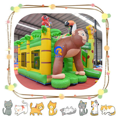 Customized Color Inflatable Castle Jumping Commercial Combo Slide and Bouncing Castle