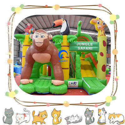 Customized Color Inflatable Castle Jumping Commercial Combo Slide and Bouncing Castle