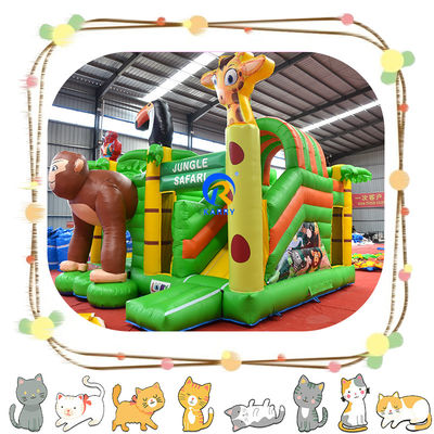Customized Color Inflatable Castle Jumping Commercial Combo Slide and Bouncing Castle