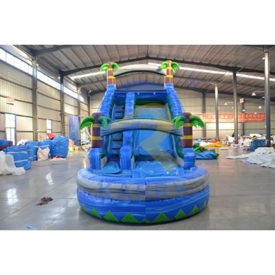 Customized Size Commercial Inflatable Water Slide with Pool CE/EN71/EN14960 Certified