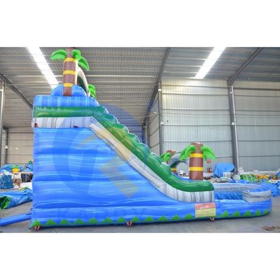 Customized Size Commercial Inflatable Water Slide with Pool CE/EN71/EN14960 Certified