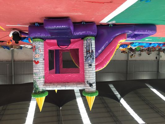 14 Age Range Inflatable Bouncy Bounce at Home Jumping Castle with Slide