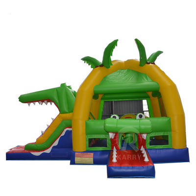 14 Years up Popular Outdoor Inflatable Bouncer Slide with CE Blower and Repair Kits