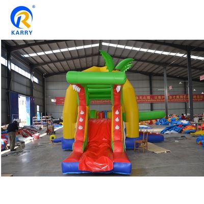 14 Years up Popular Outdoor Inflatable Bouncer Slide with CE Blower and Repair Kits