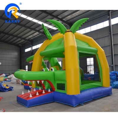 14 Years up Popular Outdoor Inflatable Bouncer Slide with CE Blower and Repair Kits