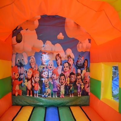 Outdoor Entertainment Party Inflatable Bounce House Bouncer Combo with Customized Color