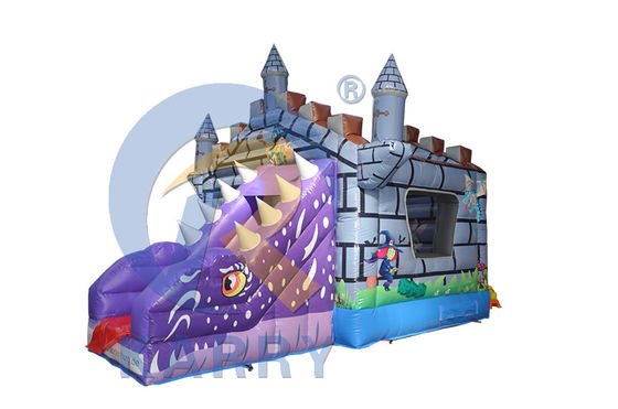 Features PORTABLE Kids Inflatable Dry Jumper Bouncy Castle with Slide and Chameleon