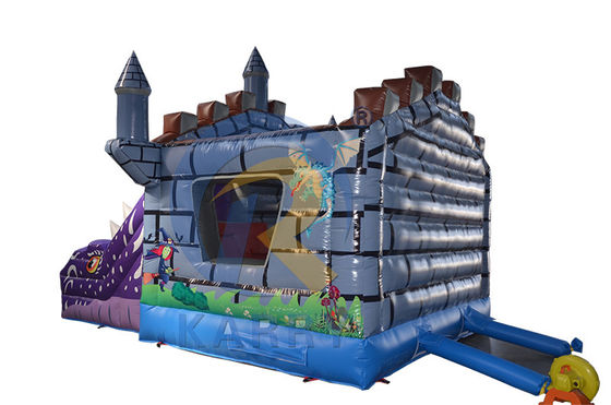 Features PORTABLE Kids Inflatable Dry Jumper Bouncy Castle with Slide and Chameleon