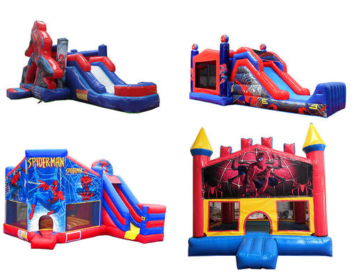 Commercial Castle Slide Combo Inflatable with CE-EN71/EN76/EN14960 Certification