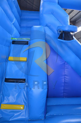 Express Shipping Children Outdoor Bouncy House Inflatable Jumping Castle Frozen Park