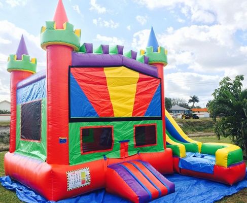 Amusement Bouncer Jumper Combo Moonwalk PVC Inflatable Bouncer with Water Slide