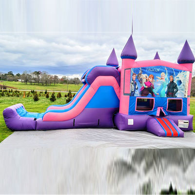 Outdoor Playground Inflatable Frozen Bouncy Castle with Slide Commercial Grade Durable