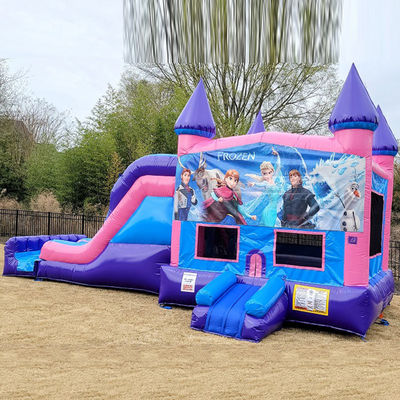 Outdoor Playground Inflatable Frozen Bouncy Castle with Slide Commercial Grade Durable