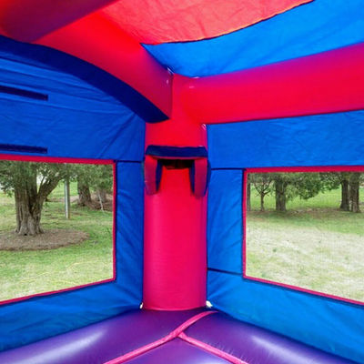 Outdoor Playground Inflatable Frozen Bouncy Castle with Slide Commercial Grade Durable