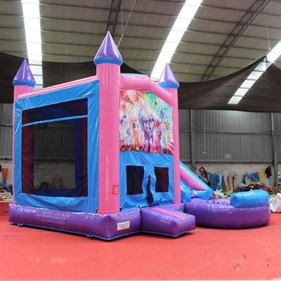 14 Years up Customized Inflatable Bouncy House Castle for Kids and Adults Cartoon Theme