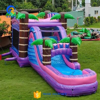 Customized Color Palm Tree Bouncy Castle with Slide Pool Inflatable Bounce House