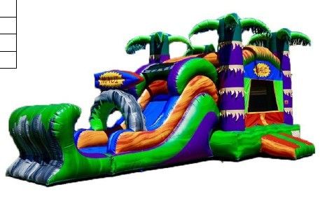 Gender-Neutral Inflatable Castle Bouncy Slide Perfect for Commercial Party Rentals