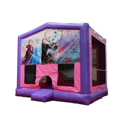 PORTABLE Features Inflatable Castle PVC Bounce House Jumping Slide for Kids' Fun Time