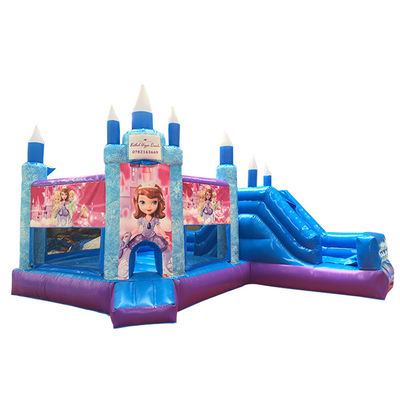 Hot Princess Party Bouncy Castle with Slide PVC Commercial Playground Equipment