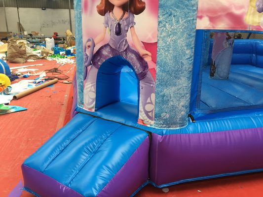 Hot Princess Party Bouncy Castle with Slide PVC Commercial Playground Equipment