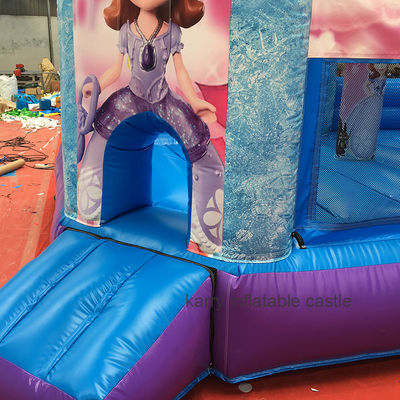 Hot Princess Party Bouncy Castle with Slide PVC Commercial Playground Equipment